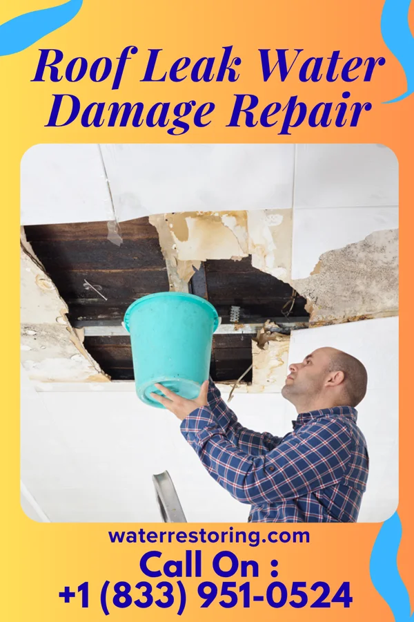 Roof Leak Water Damage Repair in Connelsville, MO